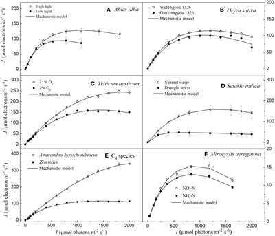 Addressing the long-standing limitations of double exponential and non-rectangular hyperbolic models in quantifying light-response of electron transport rates in different photosynthetic organisms under various conditions